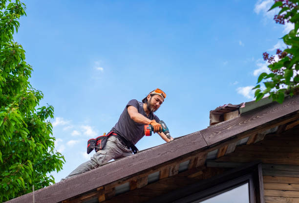 Best Sheet Metal Roofing  in New London, IA
